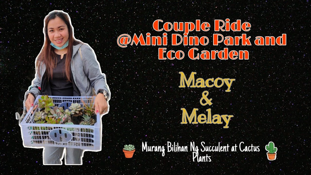 Mini Dino Park & Eco Garden | Murang Succulent at Cactus Plant