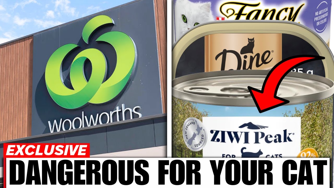 12 Cat Food Brands Australians Should Never Buy! (And The 3 That Are Worth It)
