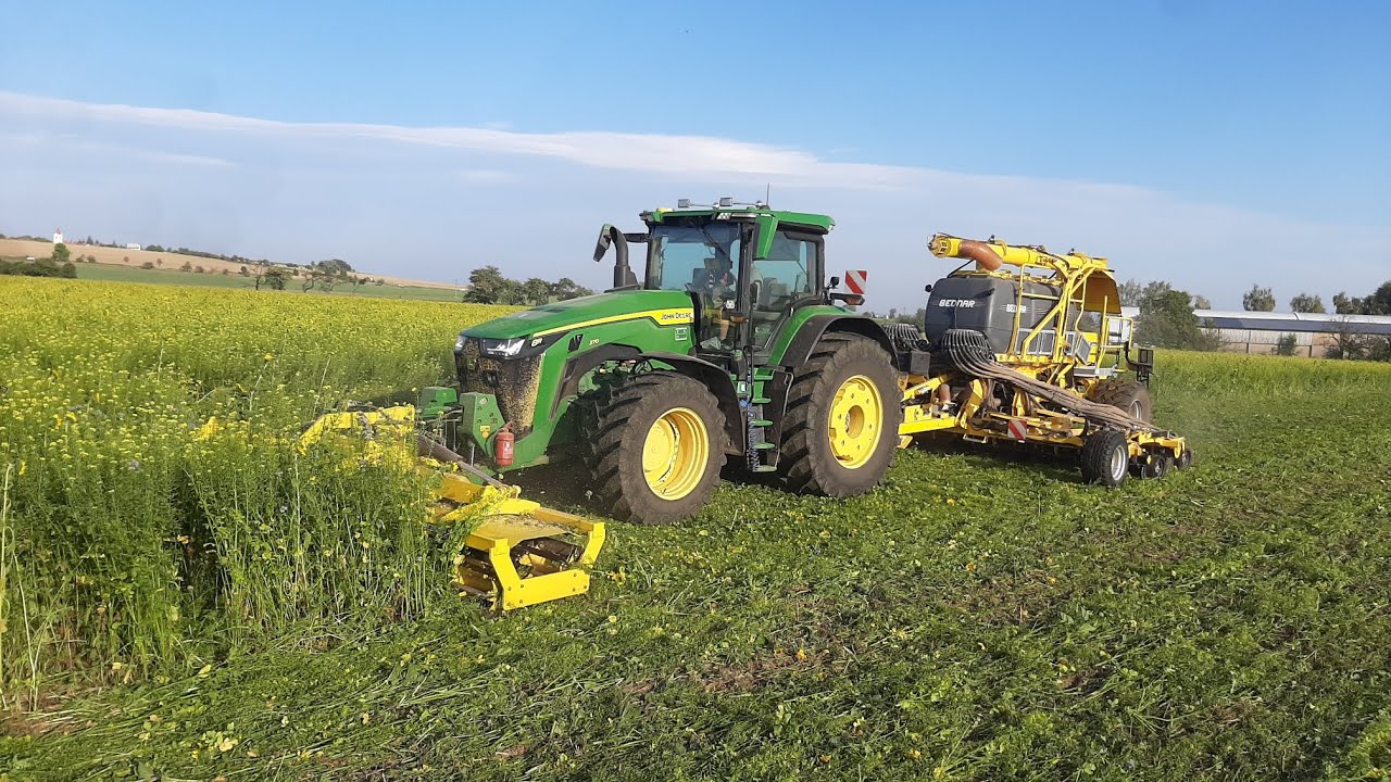 Bednar Directo NO 6000 no-till sowing winter wheat into covercrop