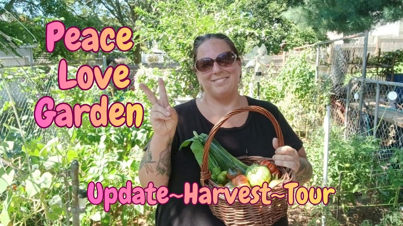 Massachusetts Garden In September. Walk through & Harvest with Me in @mylovelycitygarden