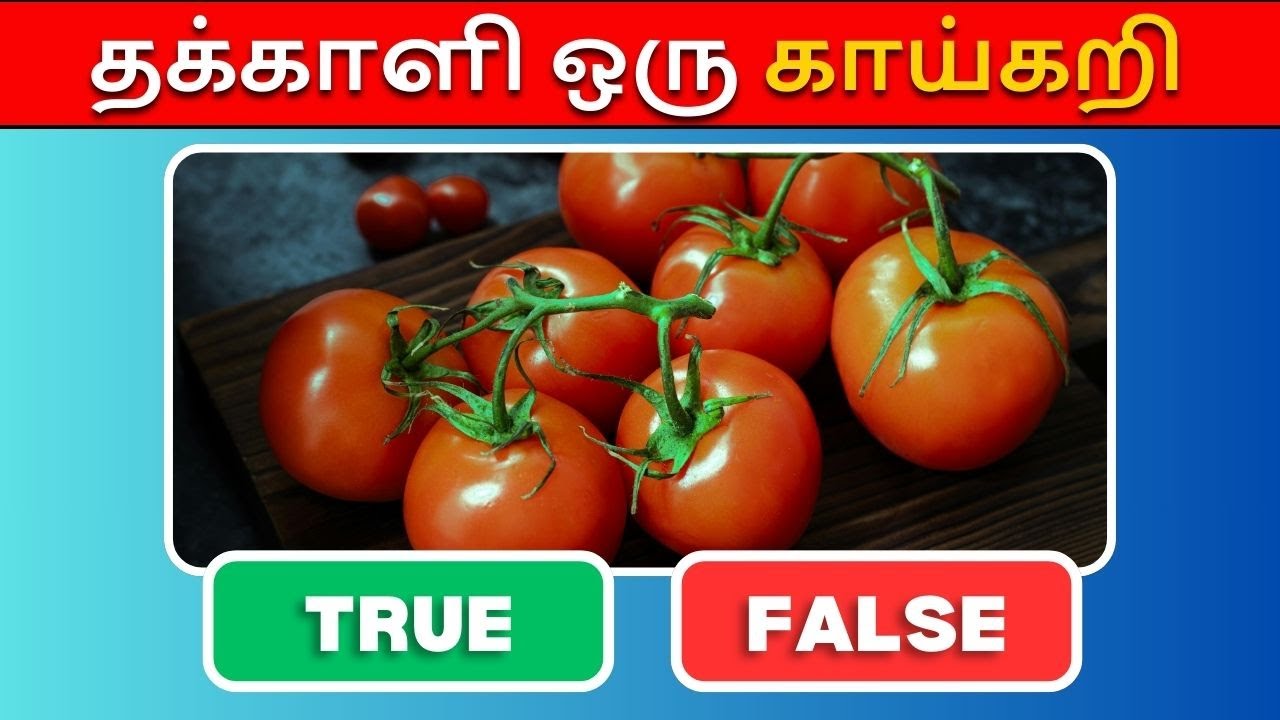 Challenge Yourself: 50 Fun Quiz Questions in Tamil | Maxquizz