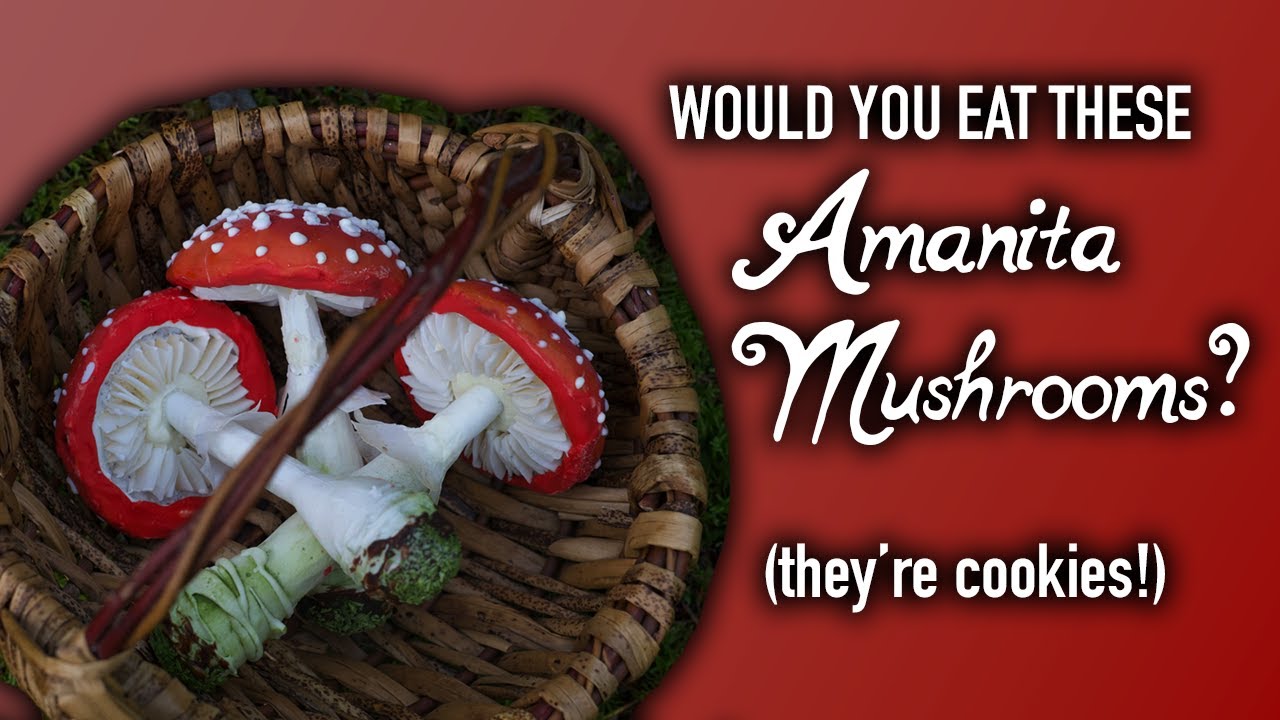 Realistic Amanita Muscaria Mushroom Cookies made out of Coconut Lime Gingerbread!