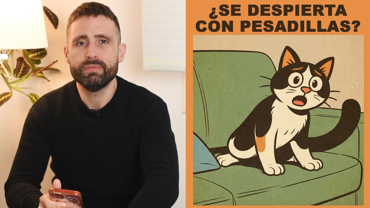 ¿Es normal que mi gato se despierte de golpe como si hubiera tenido una pesadilla?