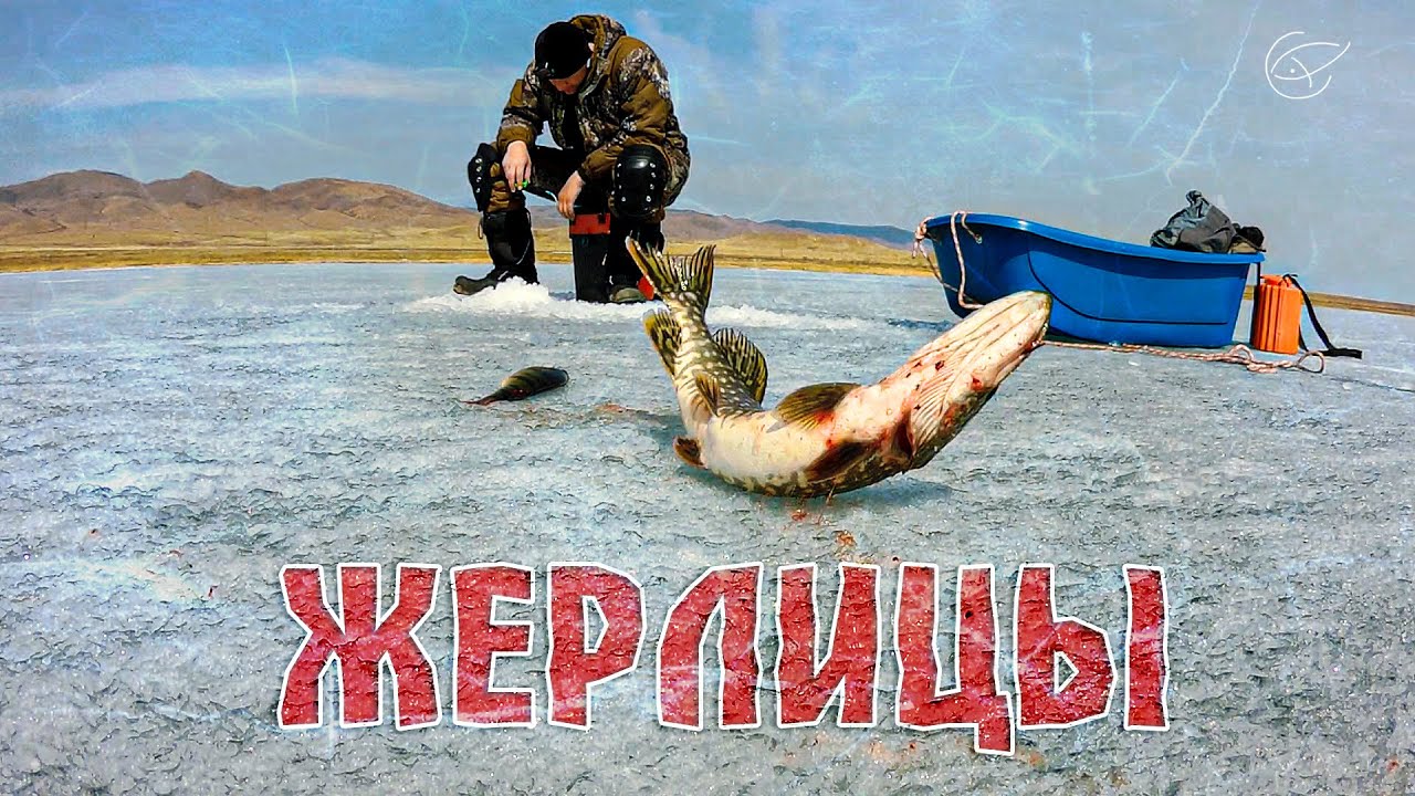 ДОБЫЛ ЩУКУ НА ЖЕРЛИЦЫ! ОЗЕРО ГУСИНОЕ [Рыбалка в Сибири]