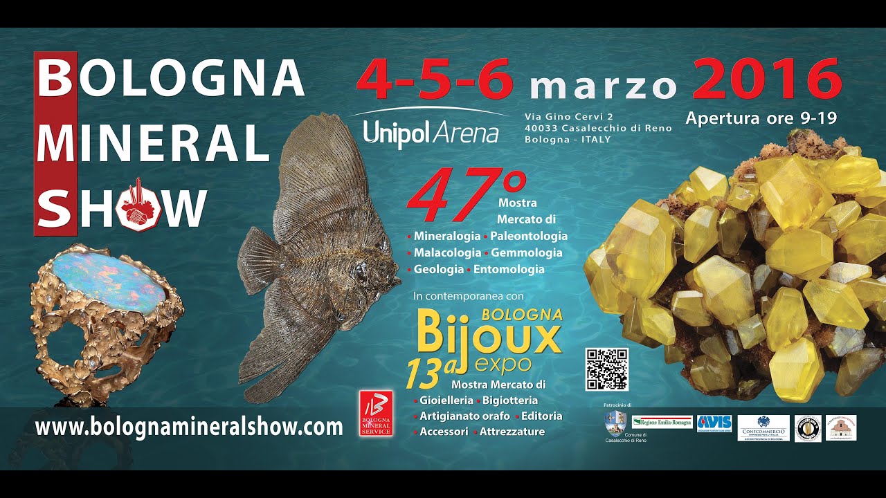 Bologna Mineral show - promo edizione 2016