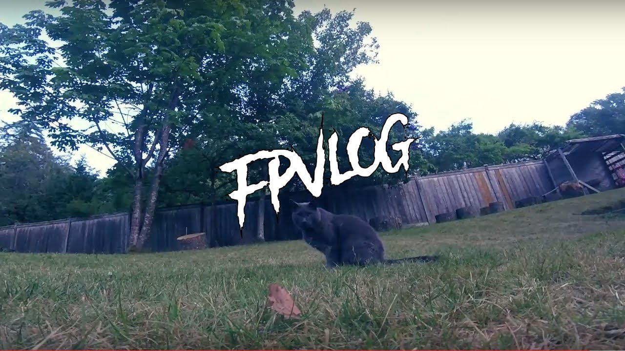 FPV perch practice