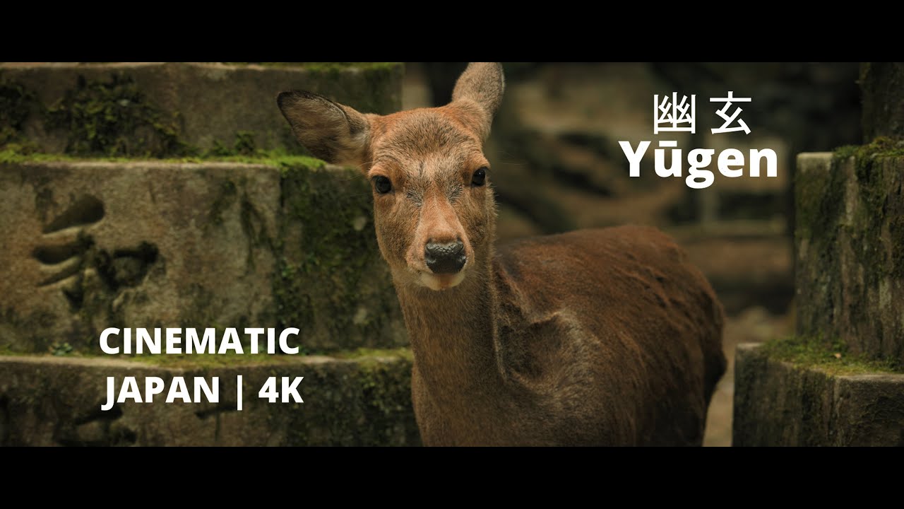Yūgen: The emotional resonance of my trip to Japan (Cinematic Japan) -  [4K]