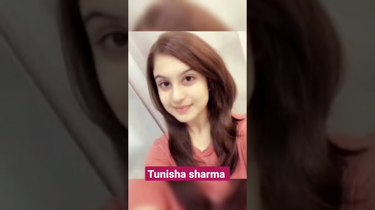 Tunisha Sharma journey video #viral #trending #actor #celebrity #alibaba# suicide #shorts