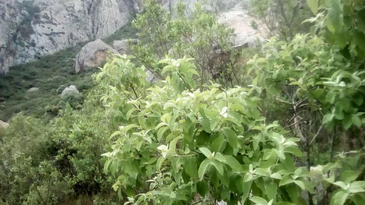 La otra historia de Peña de Bernal