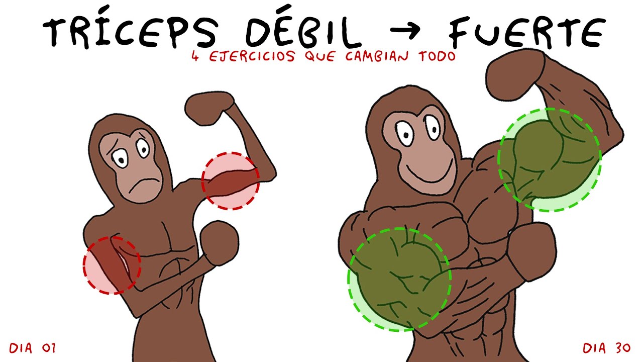 Tu Tríceps NO CRECE 4 Ejercicios que Cambian Todo - Explicado por Simio
