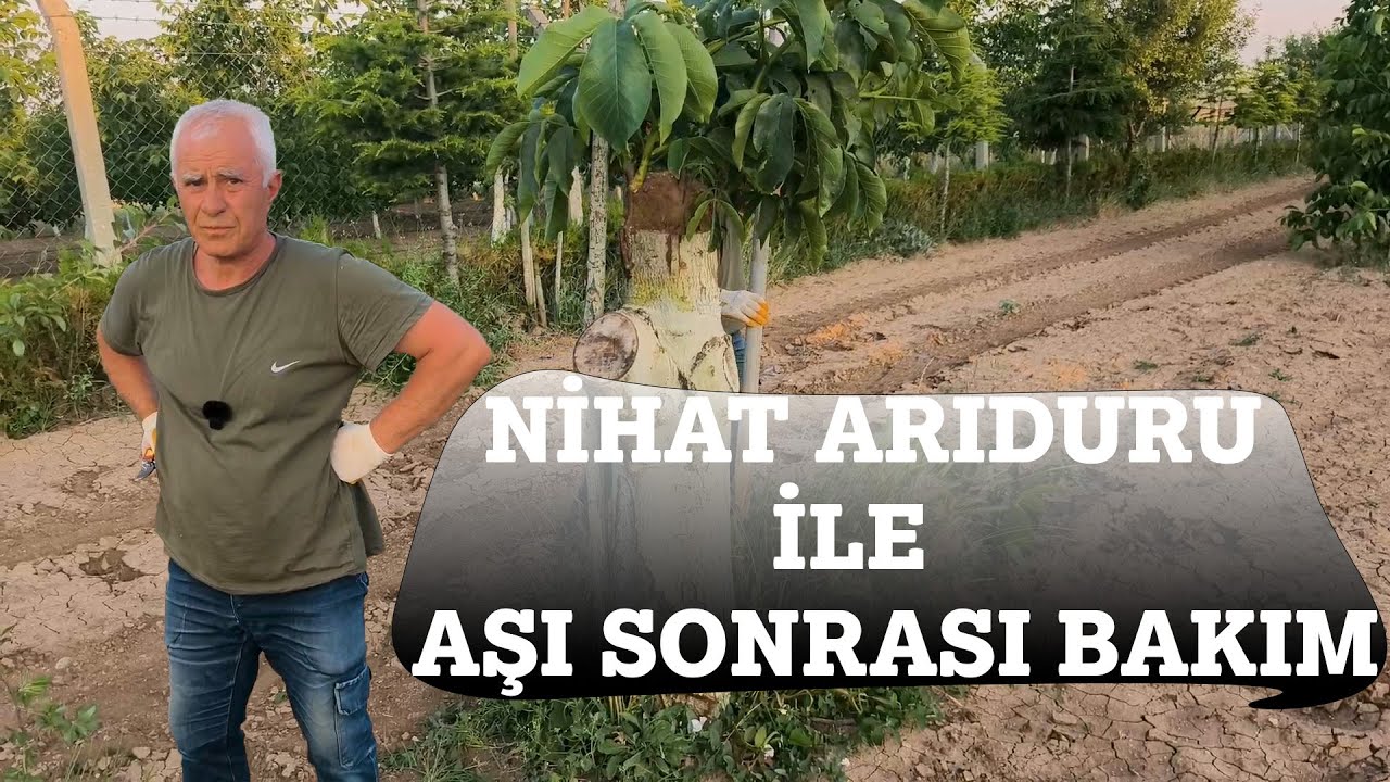 Aşı Sonrası Bakımı Nasıl Yapılır ?