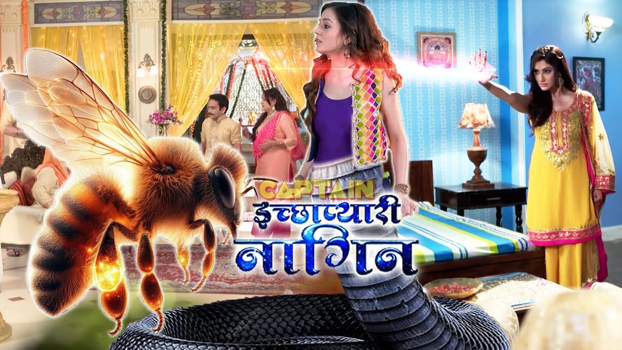 बुद्धिराज की चुनौती का सामना कैसे करेगी Ichhadhari Naagin ? महाएपिसोड - इच्छाप्यारी नागिन