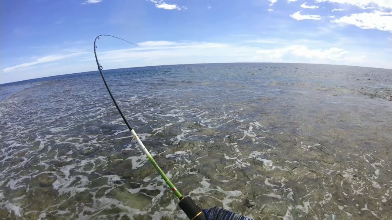 ULTRALIGHT CASTING | Ep 27 | Sensasi capung 662 vs Ryobi ultra power | Mancing di karang dangkal