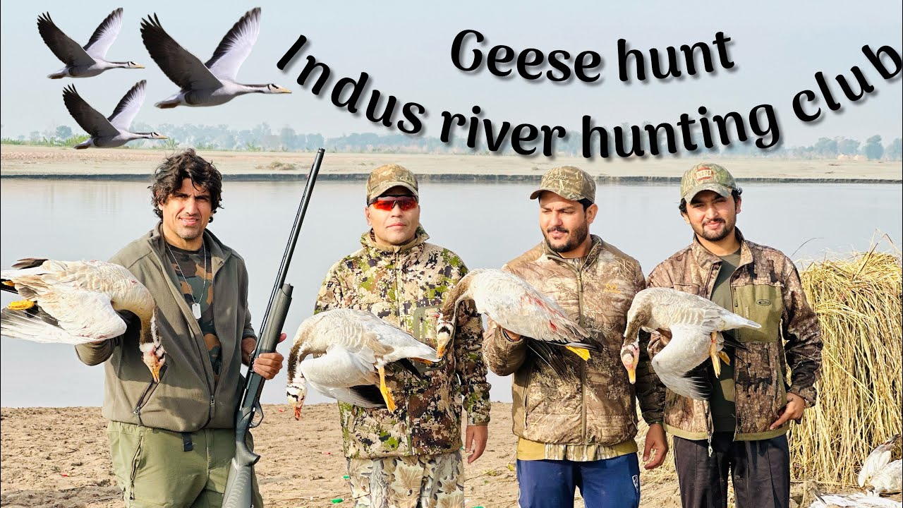 Geese hunting pakistan #hunting  #hunter #geese #pakistan #indusriver