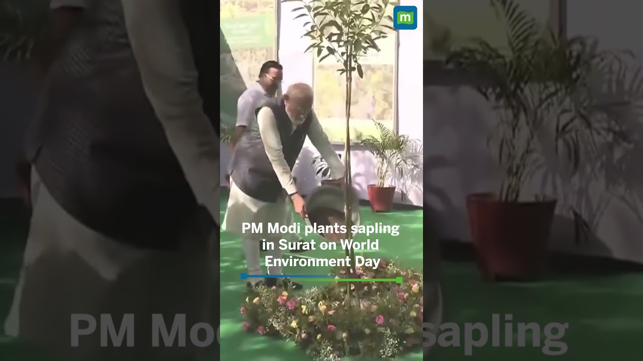 PM Modi plants saplings in Surat as part of Ek Ped Maa Ke Naam&rsquo; drive