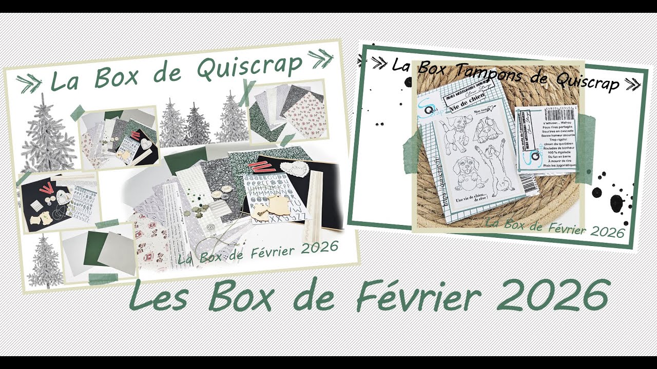 Les Box de F&eacute;vrier 2026 en video
