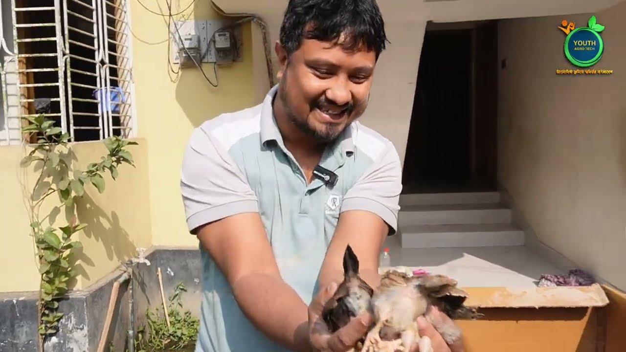 ব্রুডিং এ একটা বাচ্চাও মরলো না || ব্রুডিং এ আমি কি করলাম || Youth agro