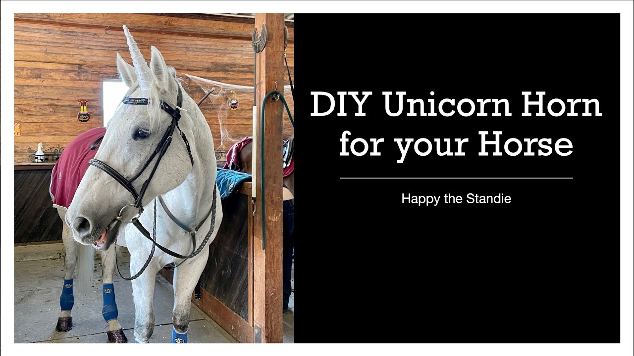 DIY Unicorn Horn for your Horse | Happy the Standie