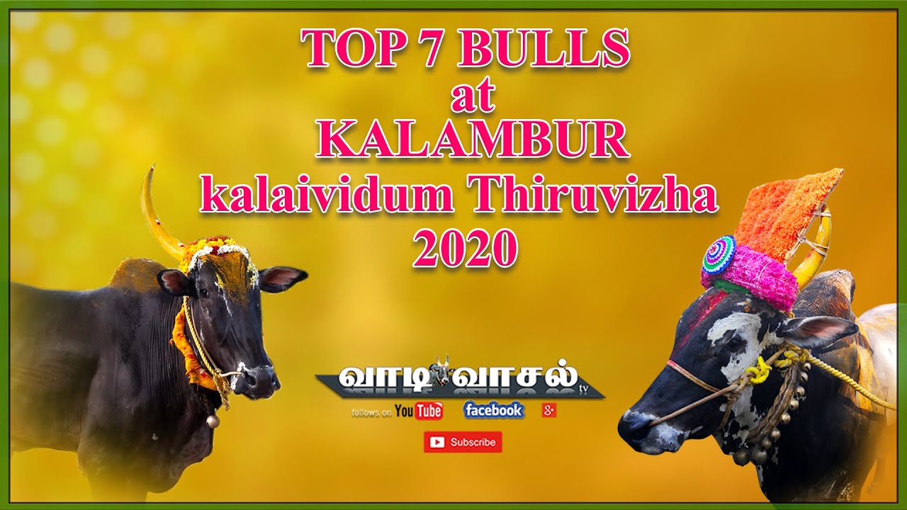 Vaniyambadi Super Star Otha Komban won 7th Prize at kalambur | 1-3-2020 | Top Seven at kalambur