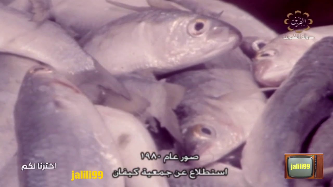 HD 🇰🇼 اهداء لأهل منطقة كيفان تغطية تلفزيون الكويت لجمعية كيفان بالثمانينات الزمن الجمييل