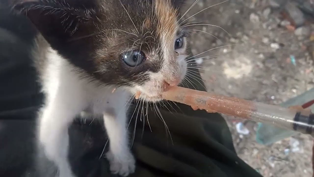 Good morning pagkain Muna Po Bago maghanap buhay KC hapon pa Po aqo makakauwe😊