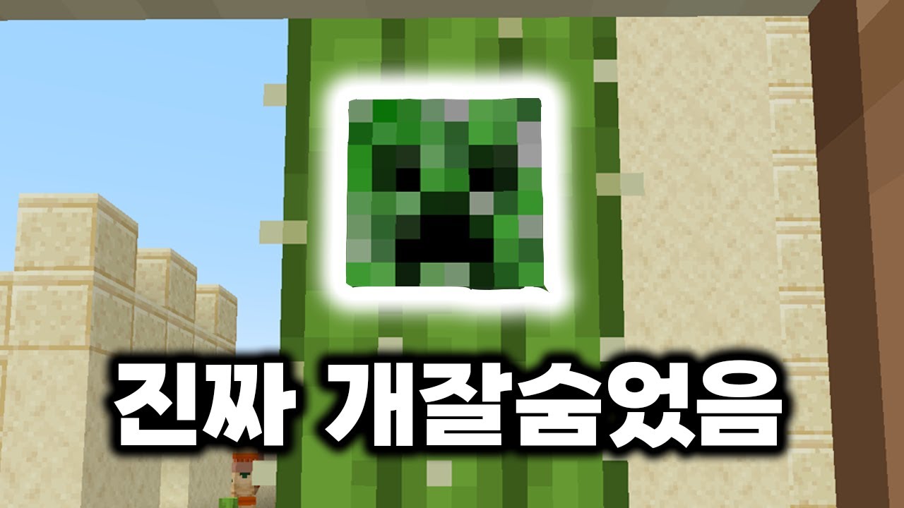 숨바꼭질 고수 아무도 몰랐던 레전드ㅋㅋㅋㅋㅋ