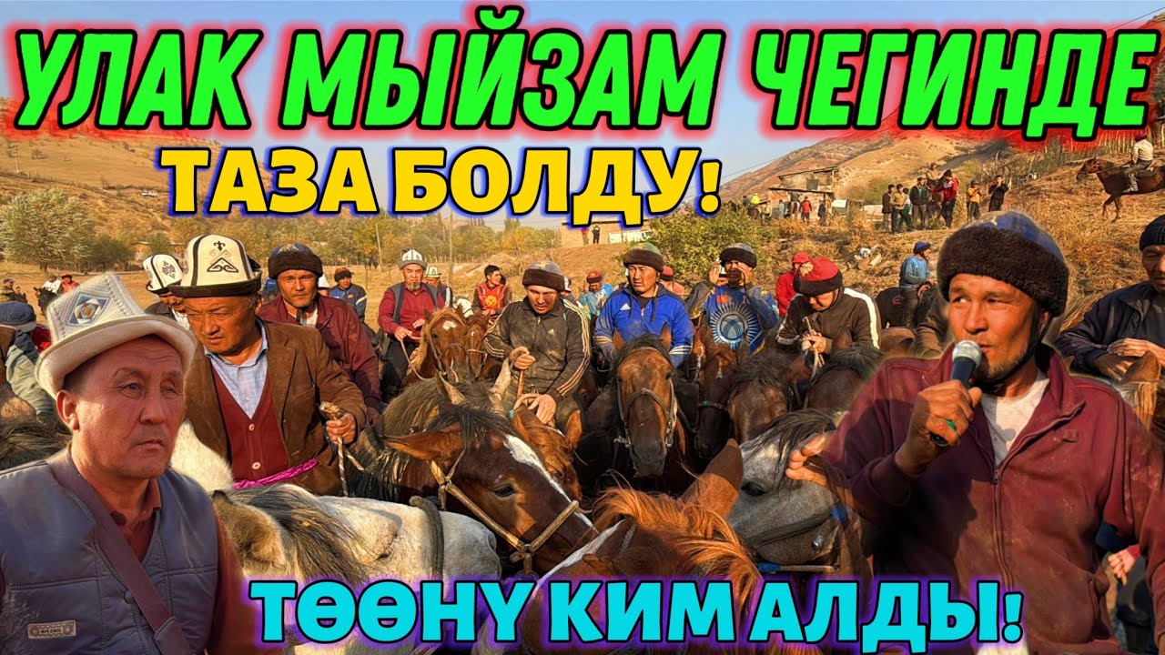 БҮГҮНКҮ УЛАК ӨТӨ КЫЗЫК БОЛДУ! 🤯 #байтв 