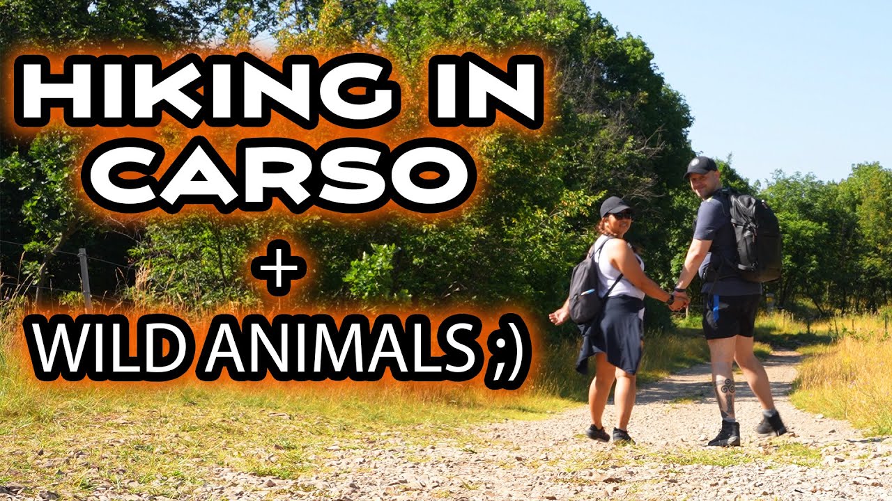 Getting Lost in the Woods? - Exploring Carso (Karst) Basovizza Hiking vlog