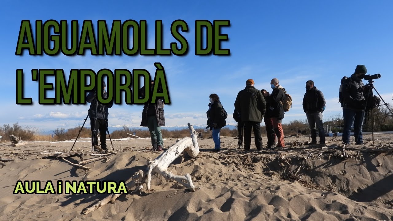 Aula i Natura - Parc Natural dels Aiguamolls de l'Empordà