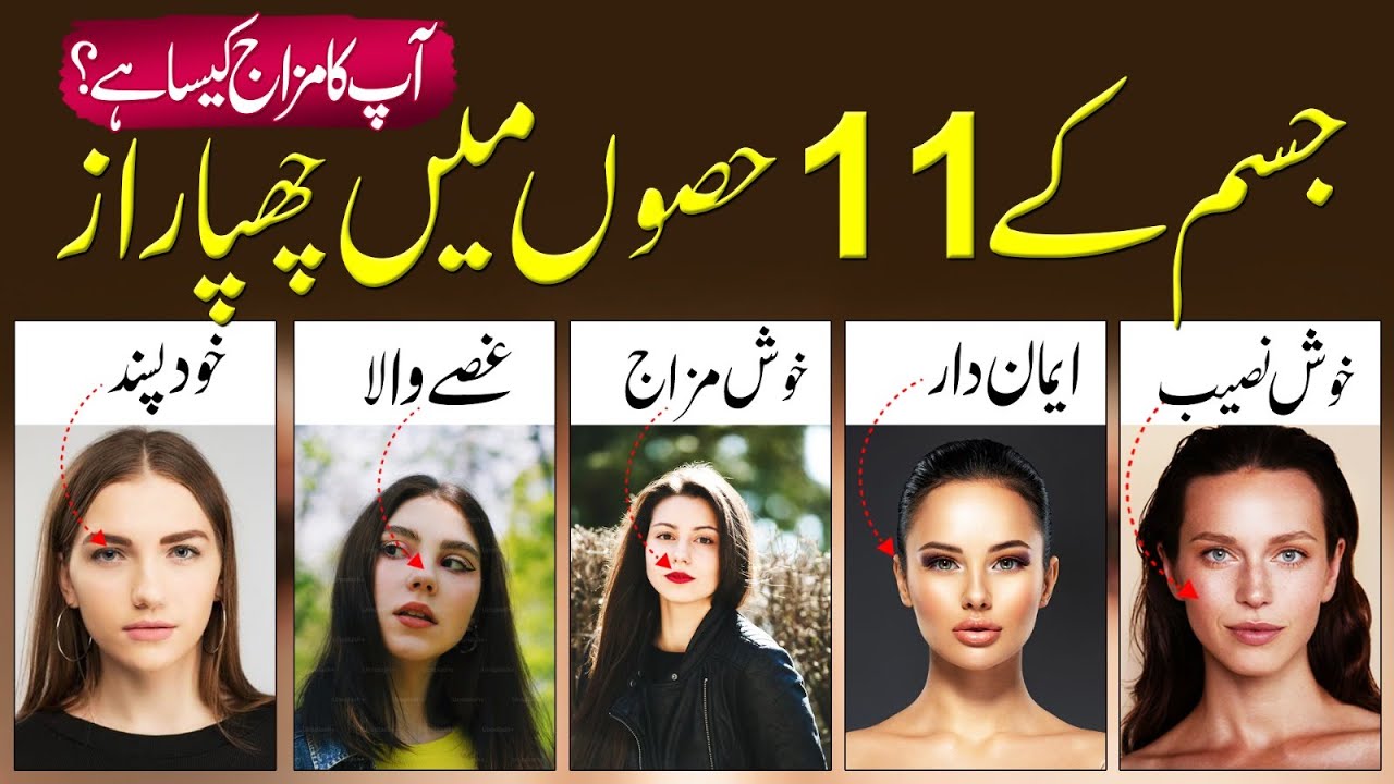11 Body Parts That Reveal Your True Intelligence | Islamic Learning Hub