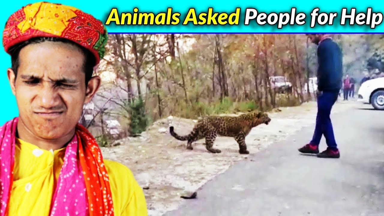 Villagers' Minds Blown as Animals Beg for Help! Tribal People Try