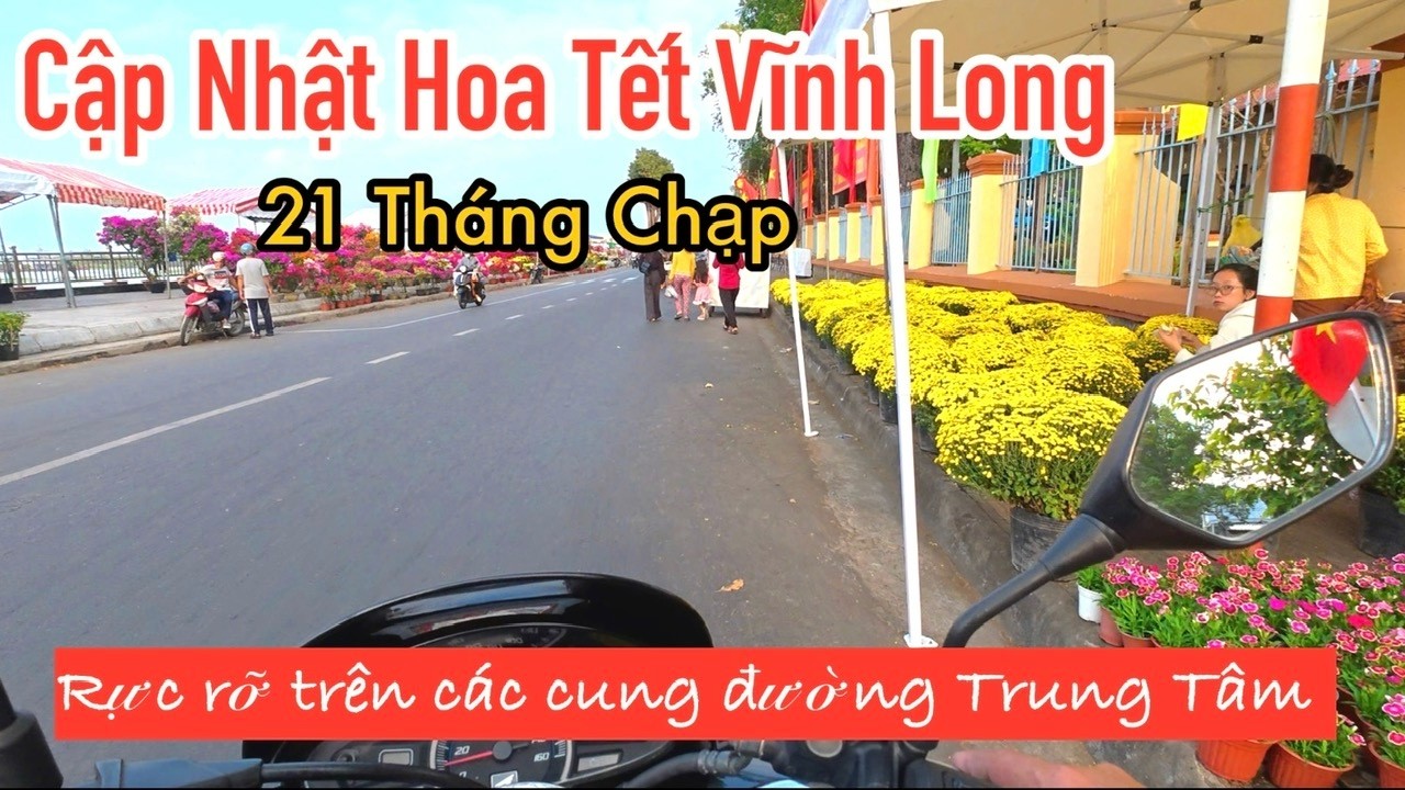 Chợ Hoa kiểng Vĩnh Long rực rỡ trên các cung đường trung tâm | Ngày 21 tháng Chạp 2026 | MrDamvlog