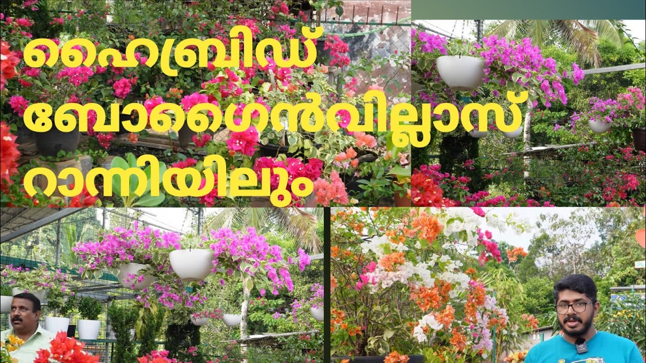 Eden garden Mannamaruthy #plantnursery
