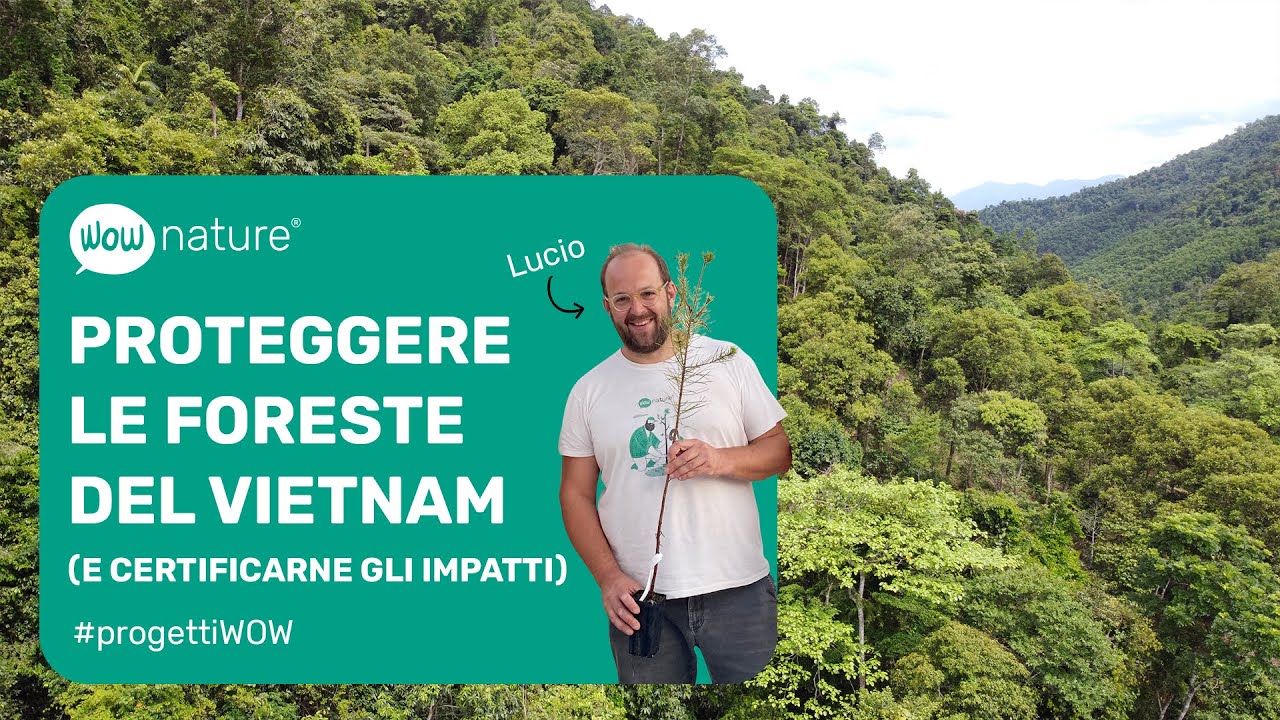 Proteggere le foreste del Vietnam | WOWnature