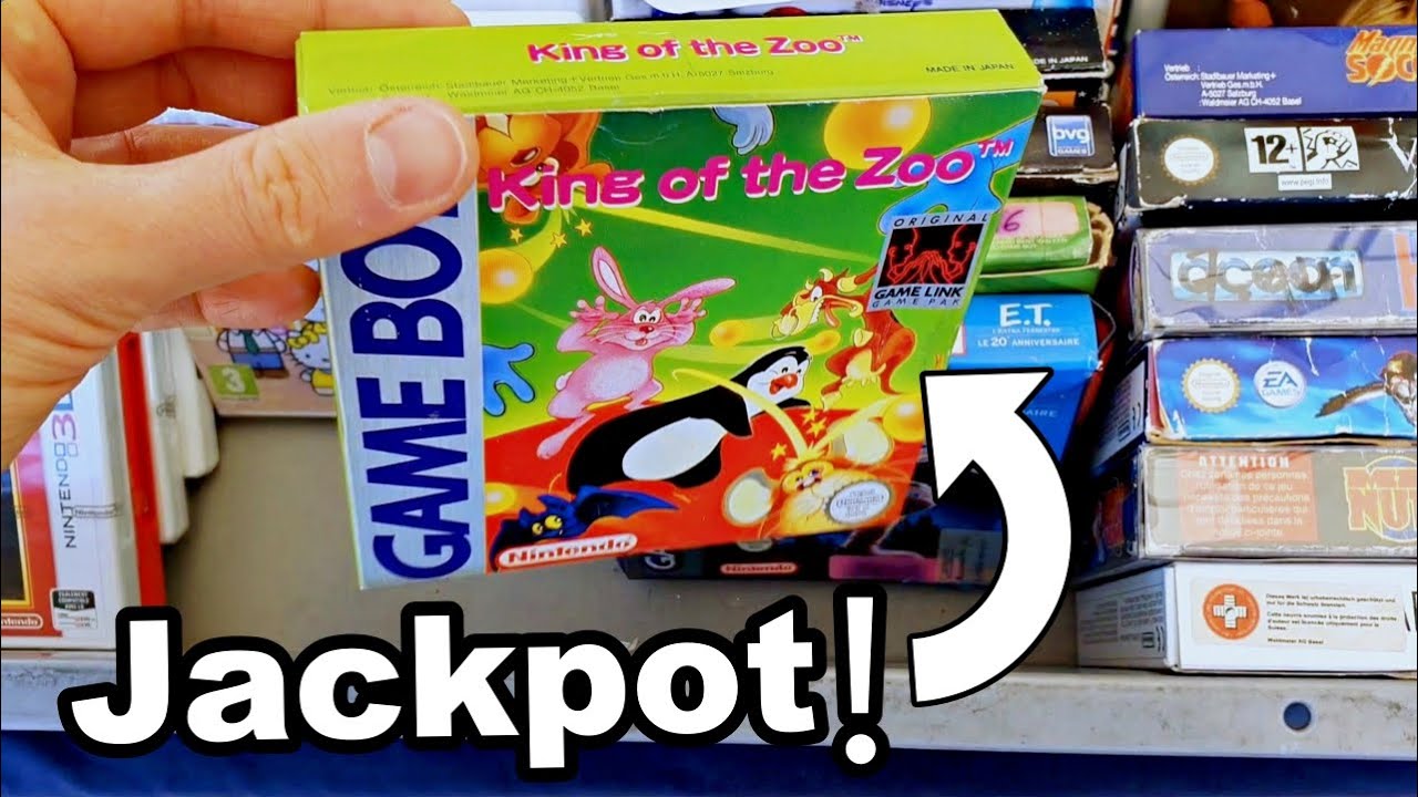 SEHR GUTER Flohmarkt mit vielen Retro Games! / Wie viel Geld könnte man verdienen? / Genf, Schweiz