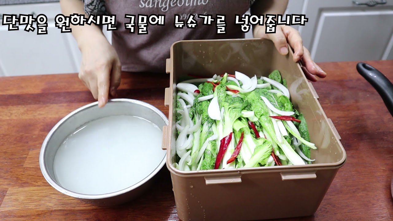 얼갈이 물김치      물김치만들기 쉬운방법  /   배추물김치만들기  [상어이모.SANGEOIMO]