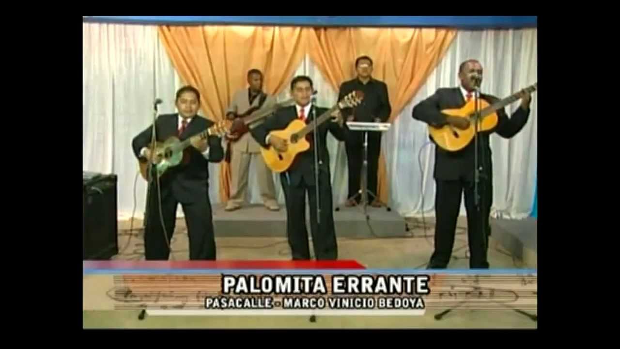 Los garles - Palomita errante