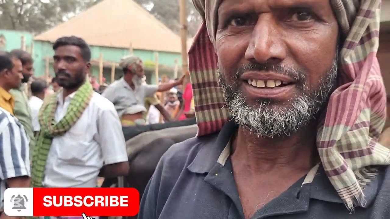 তাঁর বেপারি কি দামে গরু ক্রয় করে এবং কি দামে বিক্রি করে দেখুন ভিডিও তে। 