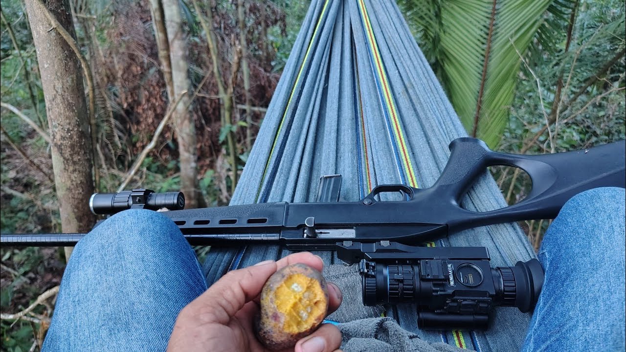Espera de paca no oxi liso,veio 1 paca e 2 tatú 👆