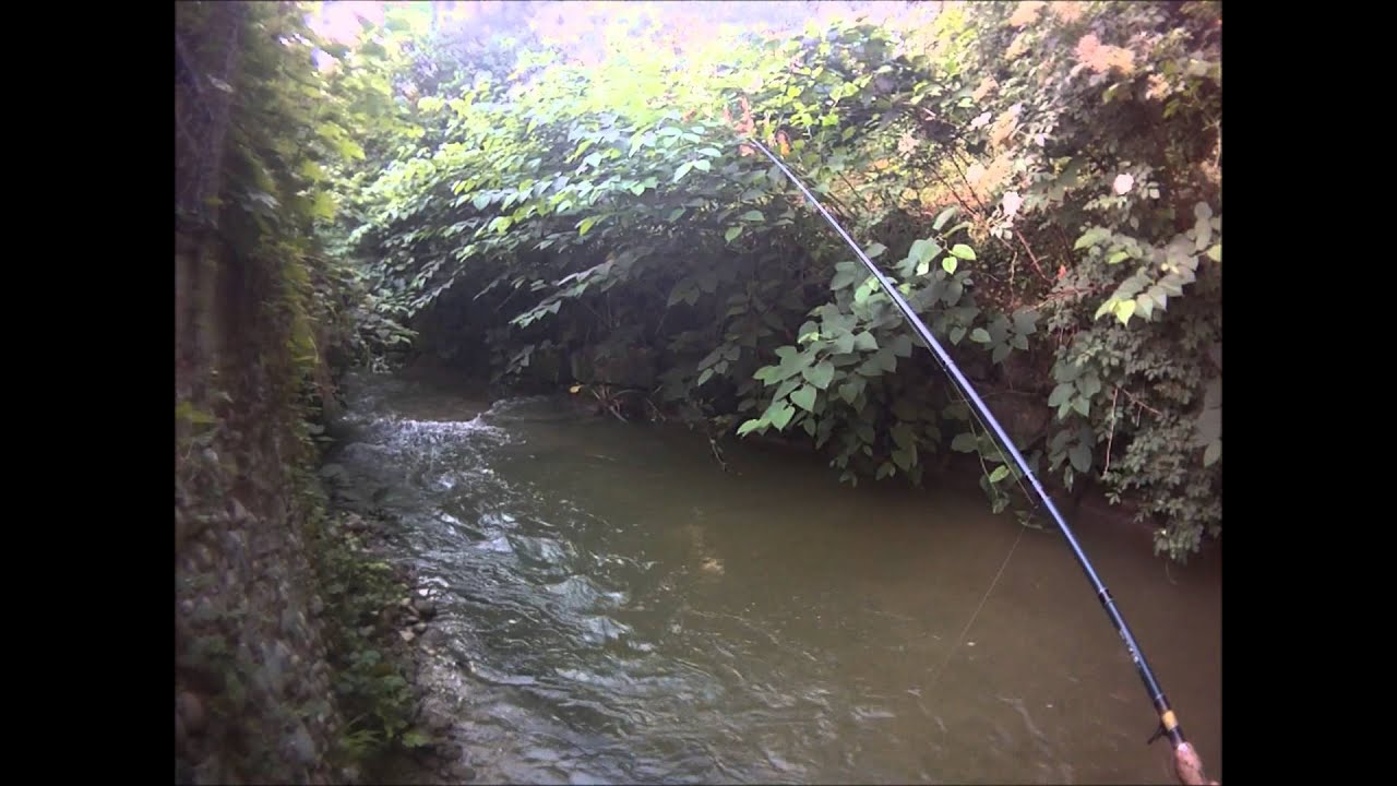 peche de la truite en gros ruisseau au ver de farine 11 06 15