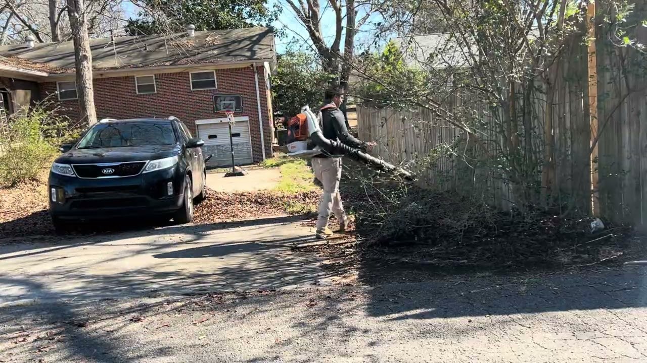 A.B Clean & Green | Cierra’s Yard Cleanup Transformation (Leaf Removal Pt. 1)