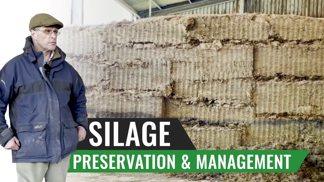 Silage Preservation & Management - Robin Blatchford, England