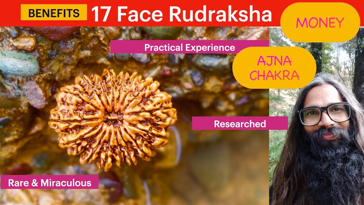BENEFITS : Rare & Miraculous 17 Face Nepal Rudraksha-In Hindi