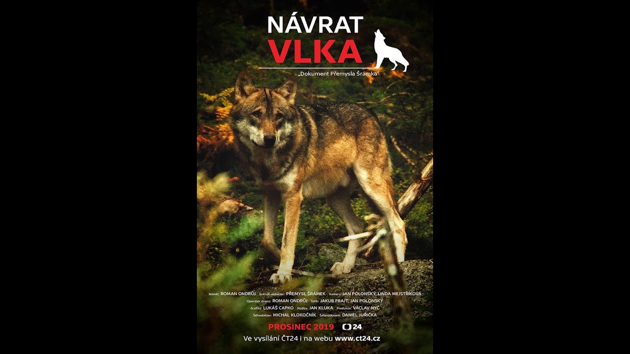 Návrat Vlka