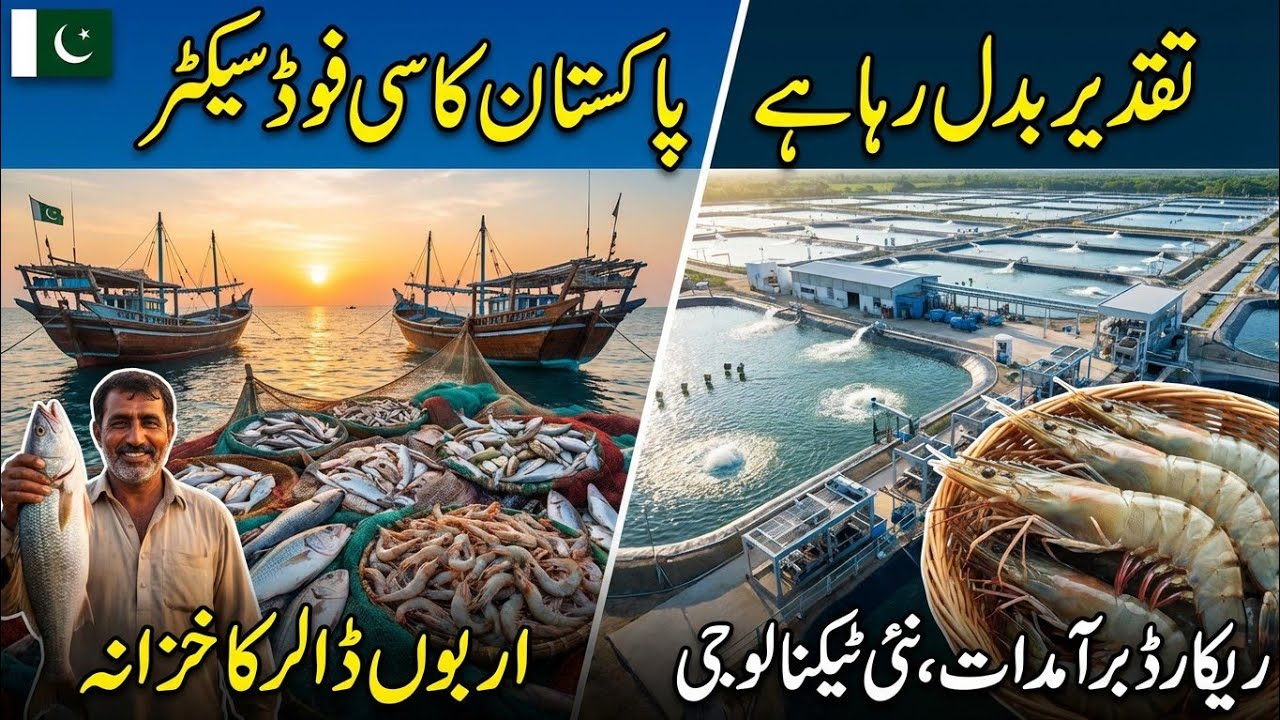 Pakistan's $10 Billion Blue Economy Revolution: A Fishy Tale 2026