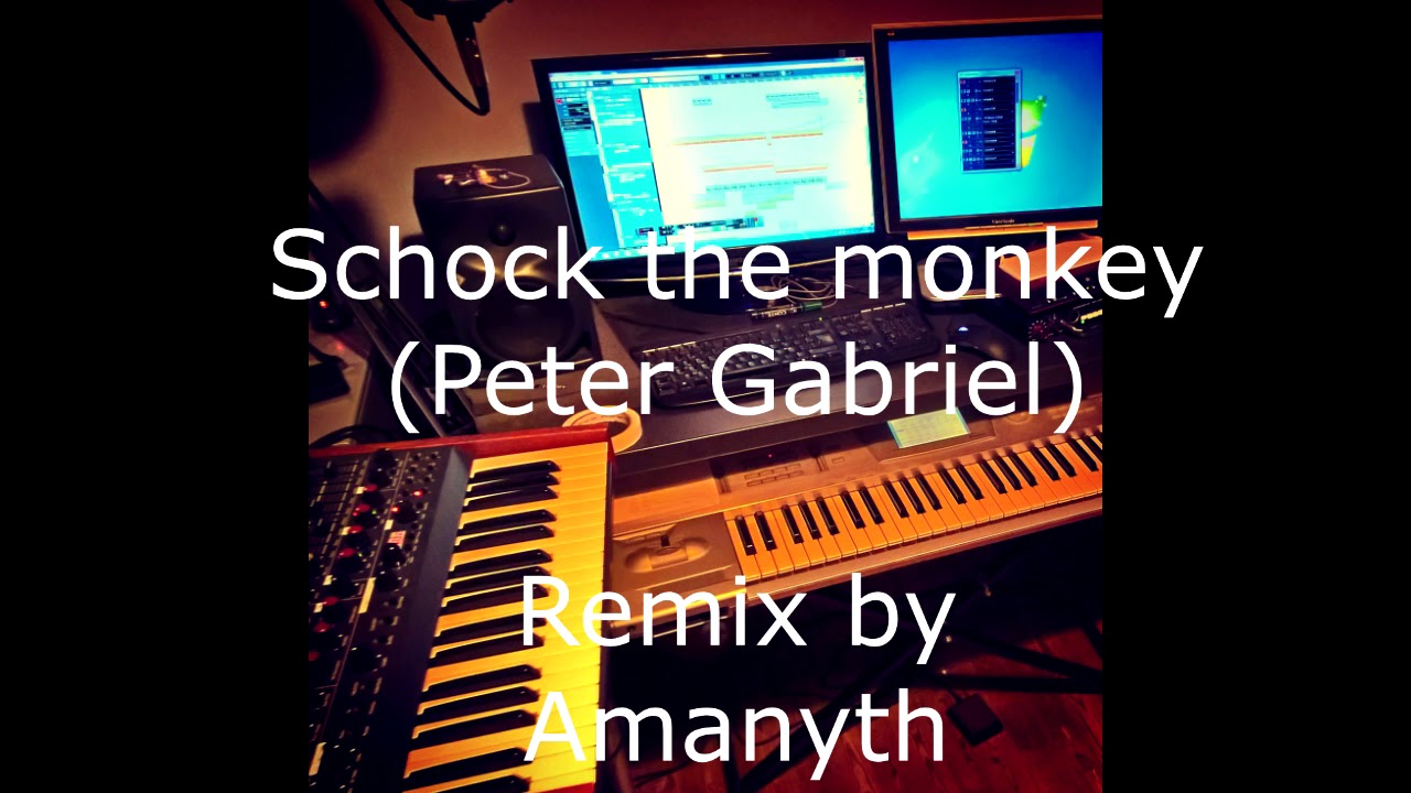 Shock the monkey (Peter Gabriel) REMIX by Amanyth