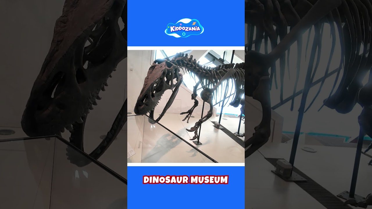 Dinosaur Museum Tour | Amazing Dinosaurs for Kids to Learn