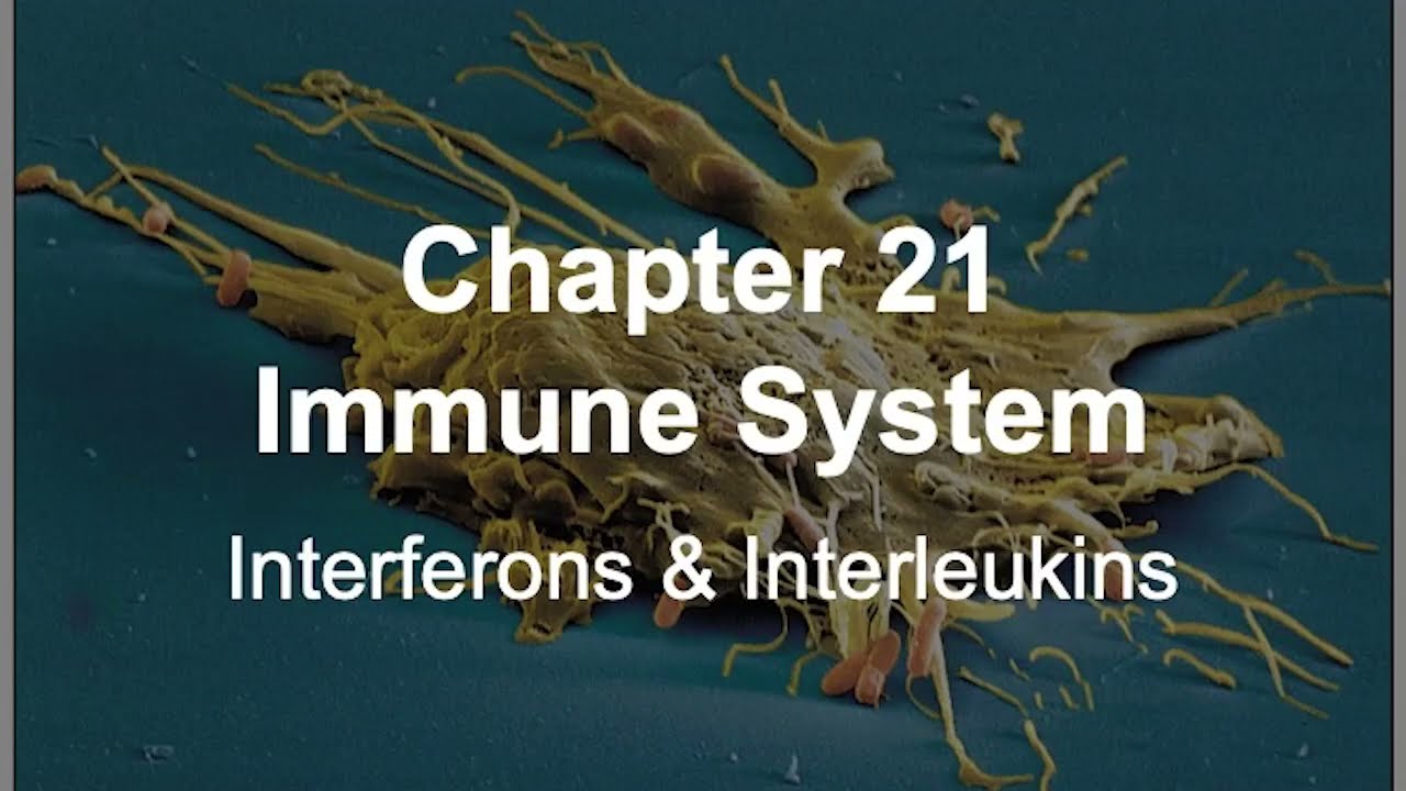 BIOS 254 21 2 Immune   Interferons & Interleukins