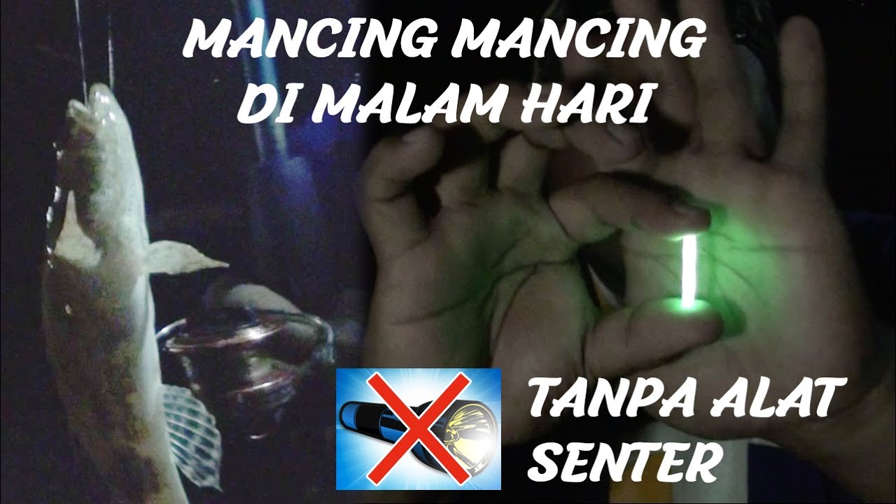 MANCING MANCING MANIA DI MALAM HARI TANPA ALAT SENTER BISA DAPAT IKAN