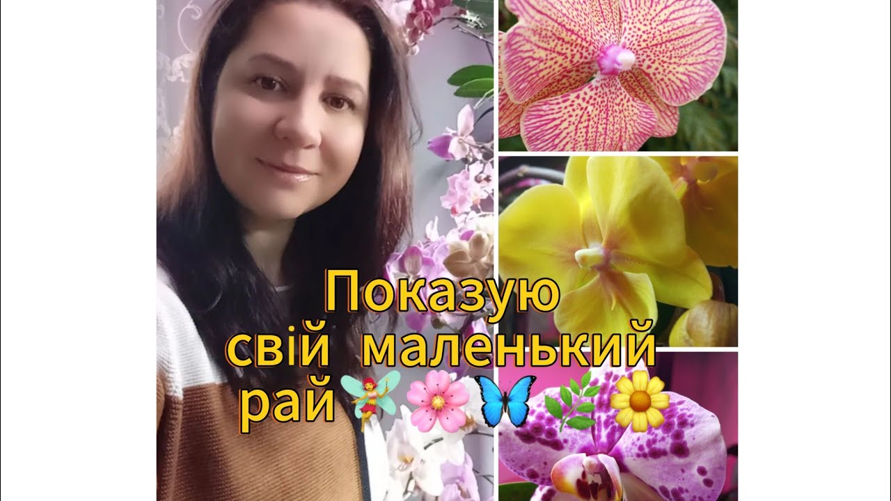 Справжній орхідейний рай: показую результат свого догляду»🌸🌼🧚‍♀️